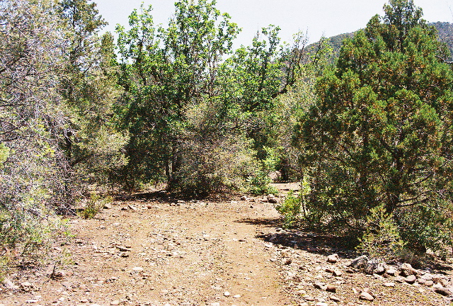 hiking up the trail