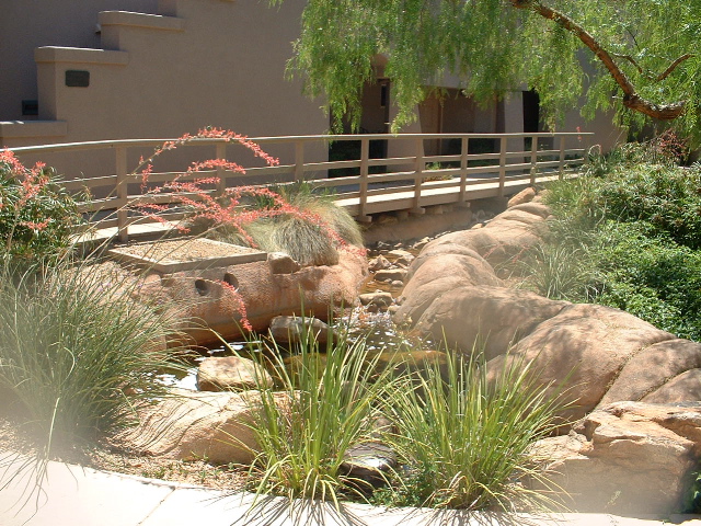 around the desert oasis resort