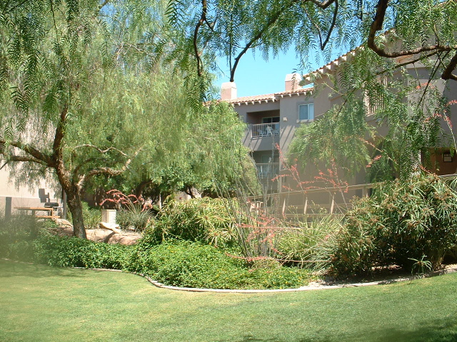 around the desert oasis resort