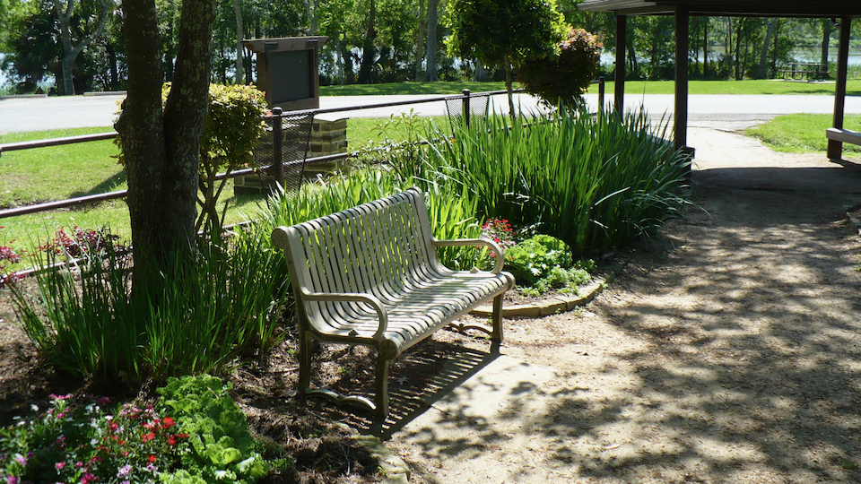 bay area park bench