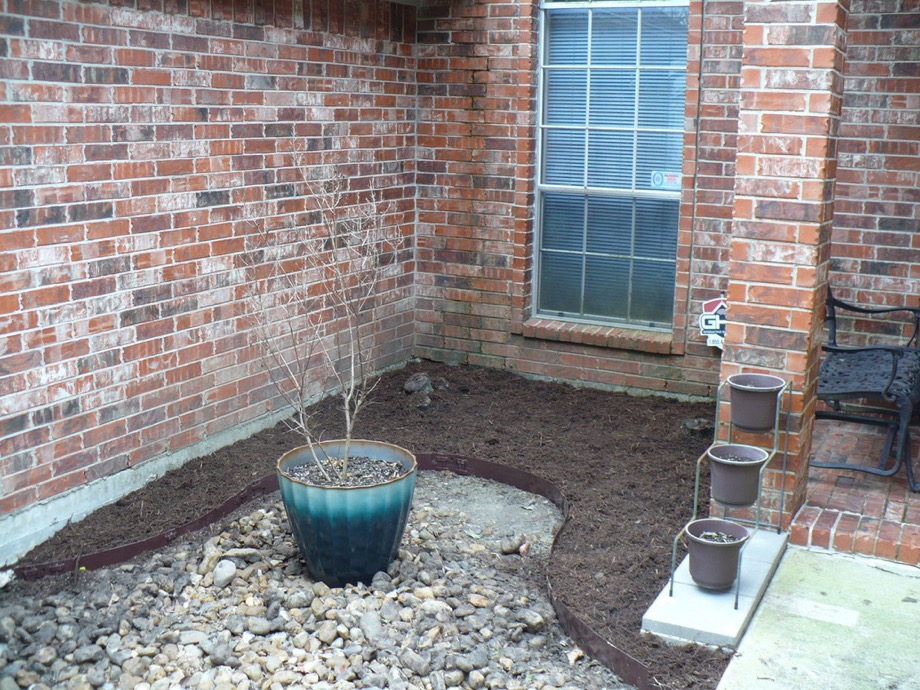 mulching the front bed