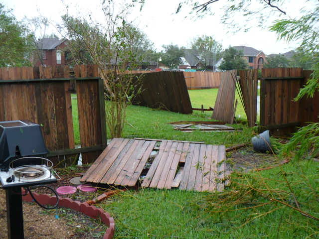 downed fences in my backyard