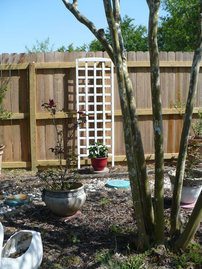 white trellis on the fence