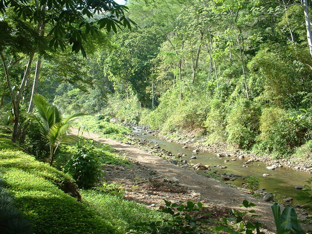 stream bed