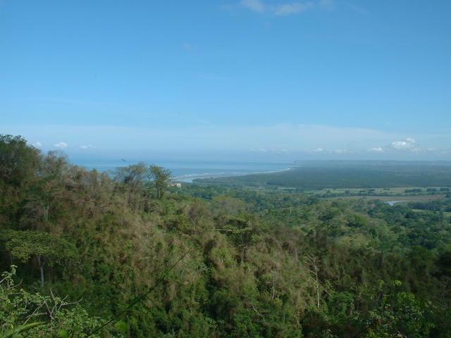 from the top of the Sky Walk trail