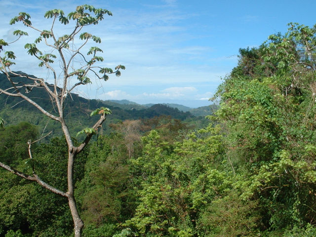 looking down the valley