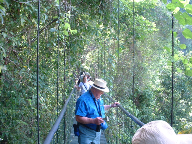 sky walk bridge