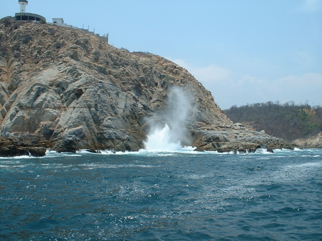 blowhole