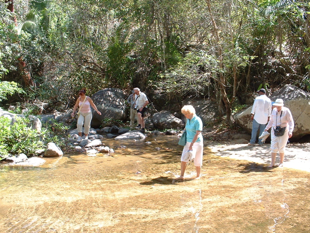 crossing the stream